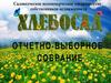 Хлебосад. Отчетно-выборное собрание