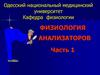 Физиология анализаторов. Часть 1