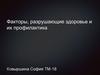 Факторы, разрушающие здоровье и их профилактика