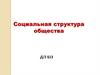 Социальная структура общества