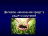 Целевое назначение средств защиты растений