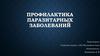 Профилактика паразитарных заболеваний