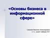 Основы бизнеса в информационной сфере