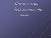 Физиология беременности (лекция)