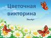 Цветочная викторина ЭкоАрт