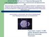 Механизмы формирования адаптивного иммунного ответа против новой коронавирусной инфекции при использовании современных