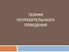 Теория потребительского поведения. Лекция 2