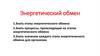 Энергетический обмен