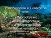 Многообразие кишечнополостных, значение в природе, жизни человека