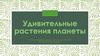 Удивительные растения планеты