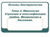 Микология. Строение и классификация грибов. Физиология и биохимия