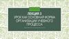 Урок как основная форма организации учебного процесса. Лекция 3