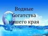 Водные богатства России. Река Нева