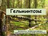 Гельминтозы