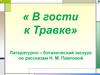 В гости к Травке