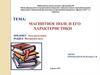 Магнитное поле и его характеристики
