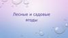 Лесные и садовые ягоды