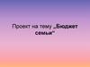 Бюджет семьи