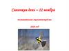 Синичкин день – 12 ноября