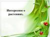 Интересное о растениях