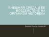 Внешняя среда и ее воздействие на организм человека