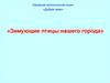 Зимующие птицы городов