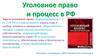 Уголовное право и процесс в РФ