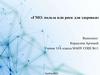 ГМО: польза или риск для здоровья