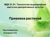 Технология выращивания цветочно - декоративных культур. Прививка растений
