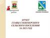 Отчет главы Суккозерского сельского поселения за 2021 год