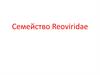 Семейство Reoviridae