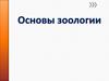 Основы зоологии