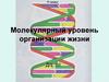 Молекулярный уровень организации жизни