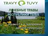 Лечебные травы Республики Тыва