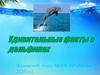 Удивительные факты о дельфинах
