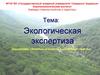 Экологическая экспертиза