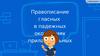 Правописание гласных в падежных окончаниях прилагательных