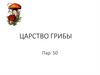 Царство Грибы