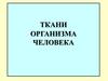 Ткани организма человека