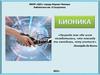 Бионика- исследования различных биологических организмов