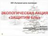 Защитим ель