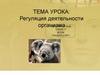 Регуляция деятельности организма. Гуморальная регуляция. Эндокринная система