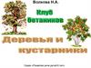 Волкова Н.А. Клуб ботаников. Деревья и кустарники. Игра для детей 6-7 лет