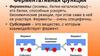 Ферментативная функция. Фермент