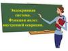 Эндокринная система. Функции желез внутренней секреции