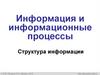 Информация и информационные процессы. Структура информации