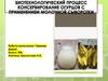 Биотехнологический процесс "консервирование огурцов с применением молочной сыворотки"