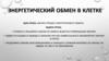 Энергетический обмен в клетке