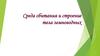 Среда обитания и строение тела земноводных