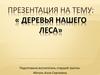Деревья нашего леса